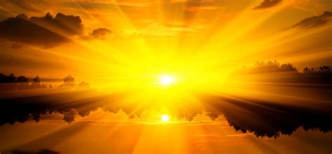 Solar-Powered Living: The Magic of My Golden Rays